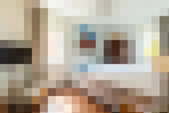 Laan van Oceanië 36 Drunen thumbnail 17