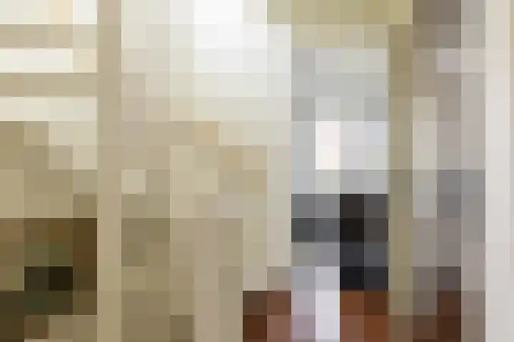Laan van Oceanië 36 Drunen thumbnail 21