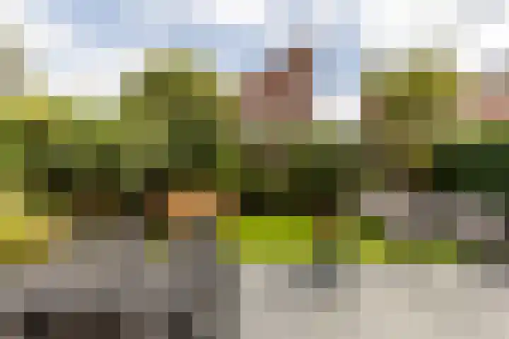 Laan van Oceanië 36 Drunen thumbnail 27