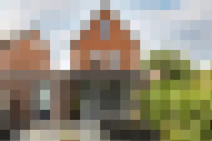 Laan van Oceanië 36 Drunen foto 3