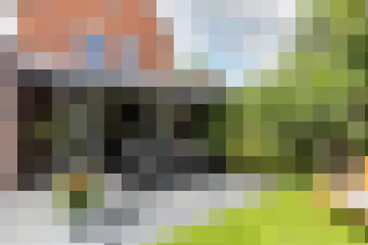 Laan van Oceanië 36 Drunen thumbnail 30