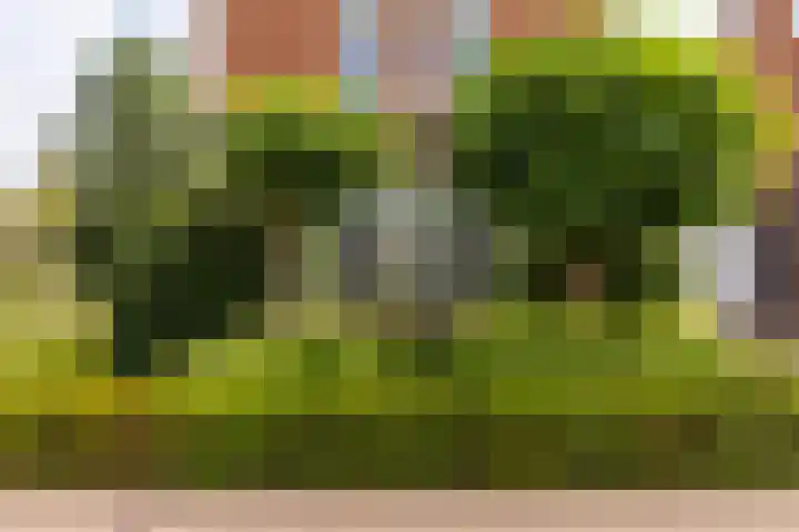 Laan van Oceanië 36 Drunen thumbnail 38