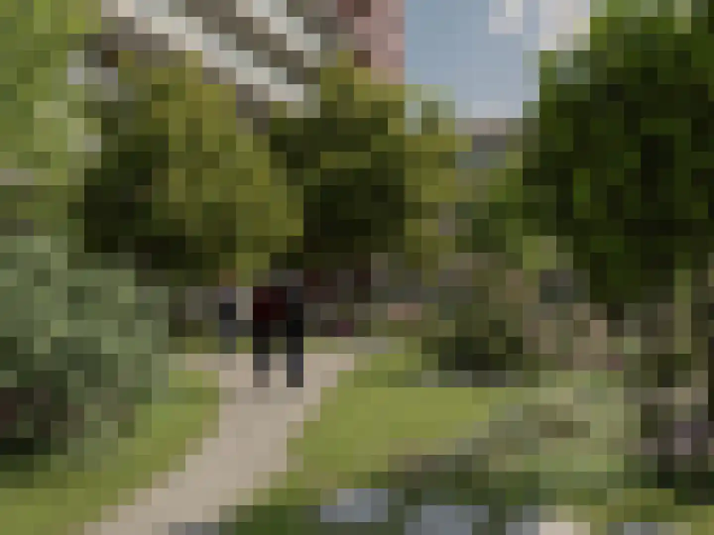 Laan van Oost-Indië 102 Nijmegen thumbnail 14