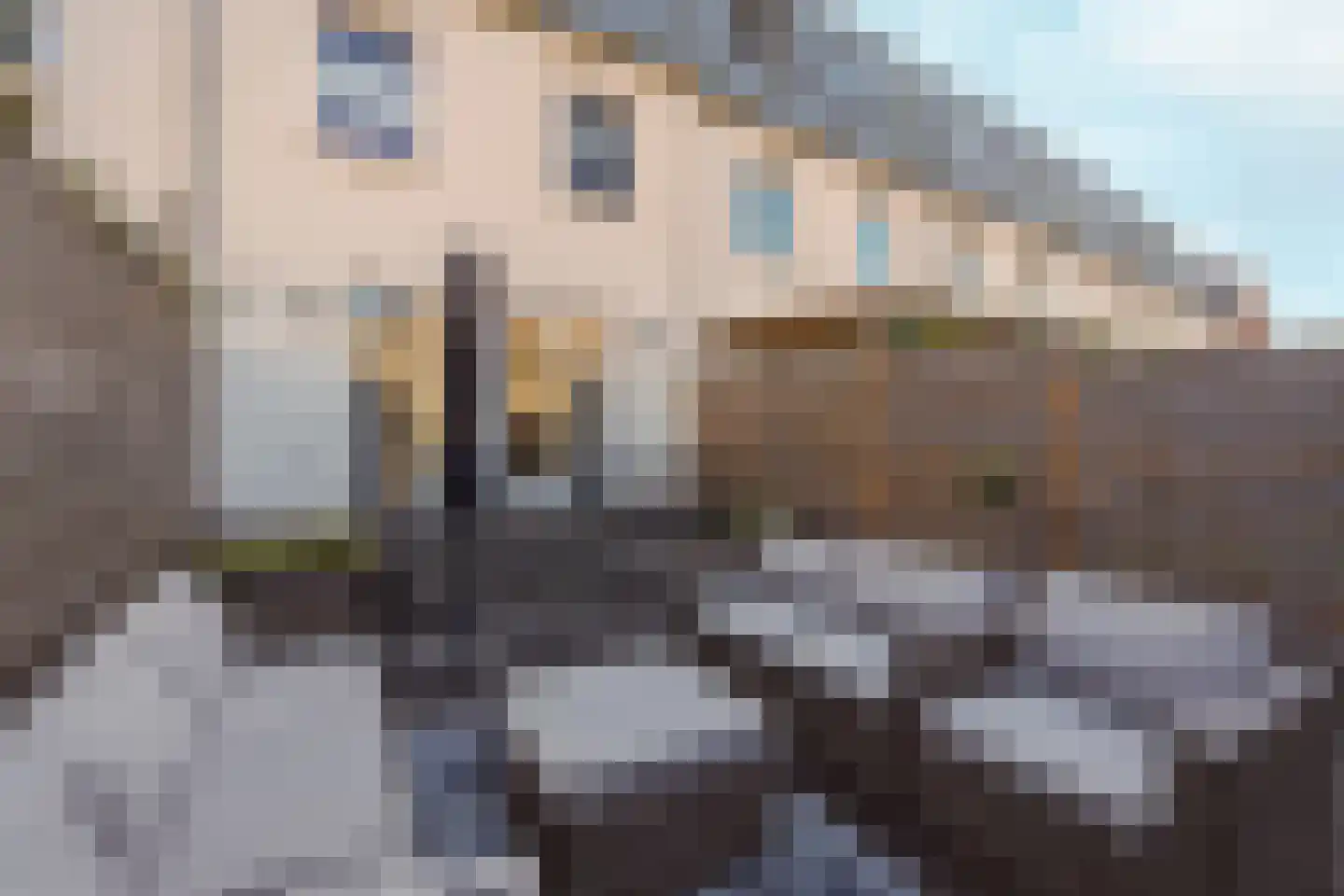 Laan van Oost-Indië 310 Nijmegen thumbnail 59