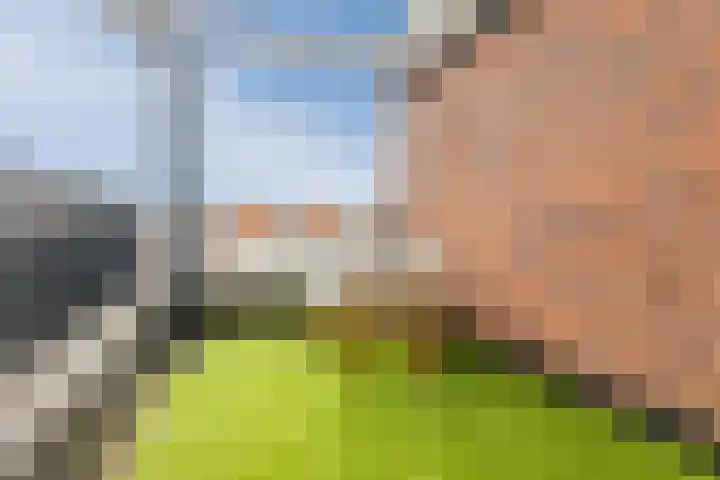 Laan van Oost-Indië 326 Nijmegen thumbnail 54