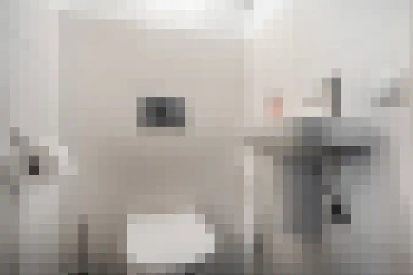 Laan van Oostenburg 25 Voorburg thumbnail 11