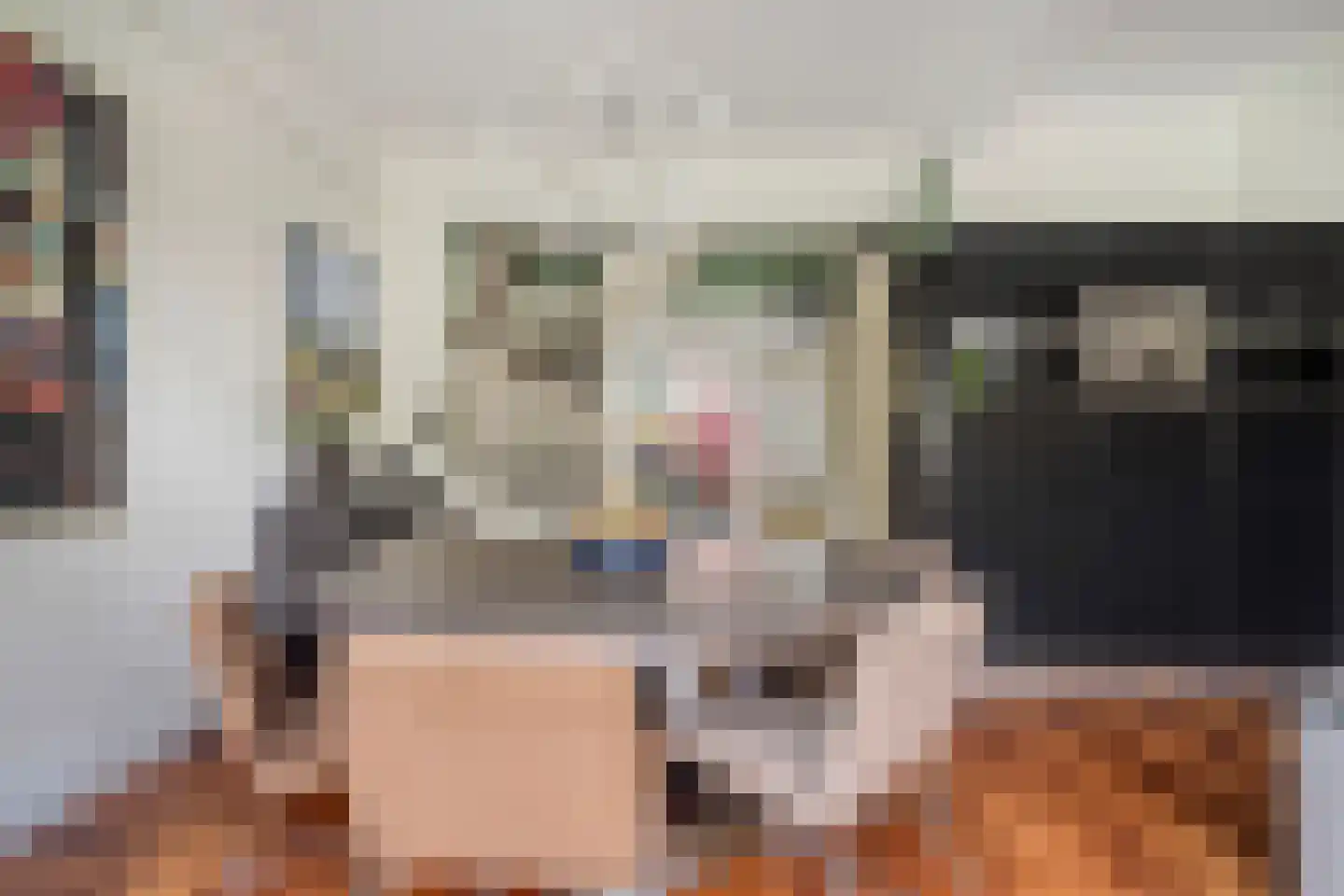 Laan van Oostenburg 25 Voorburg thumbnail 11