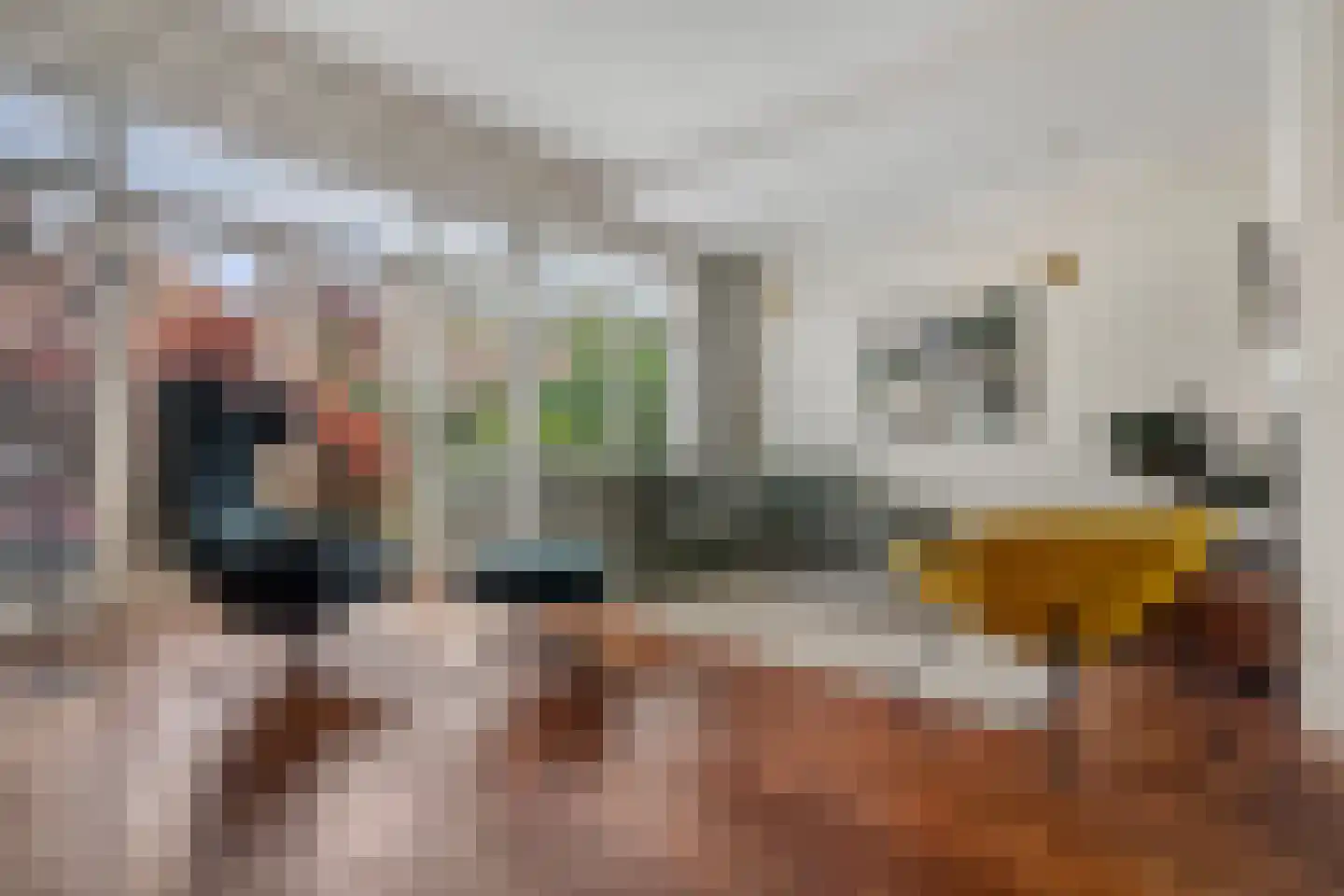 Laan van Oostenburg 25 Voorburg thumbnail 13