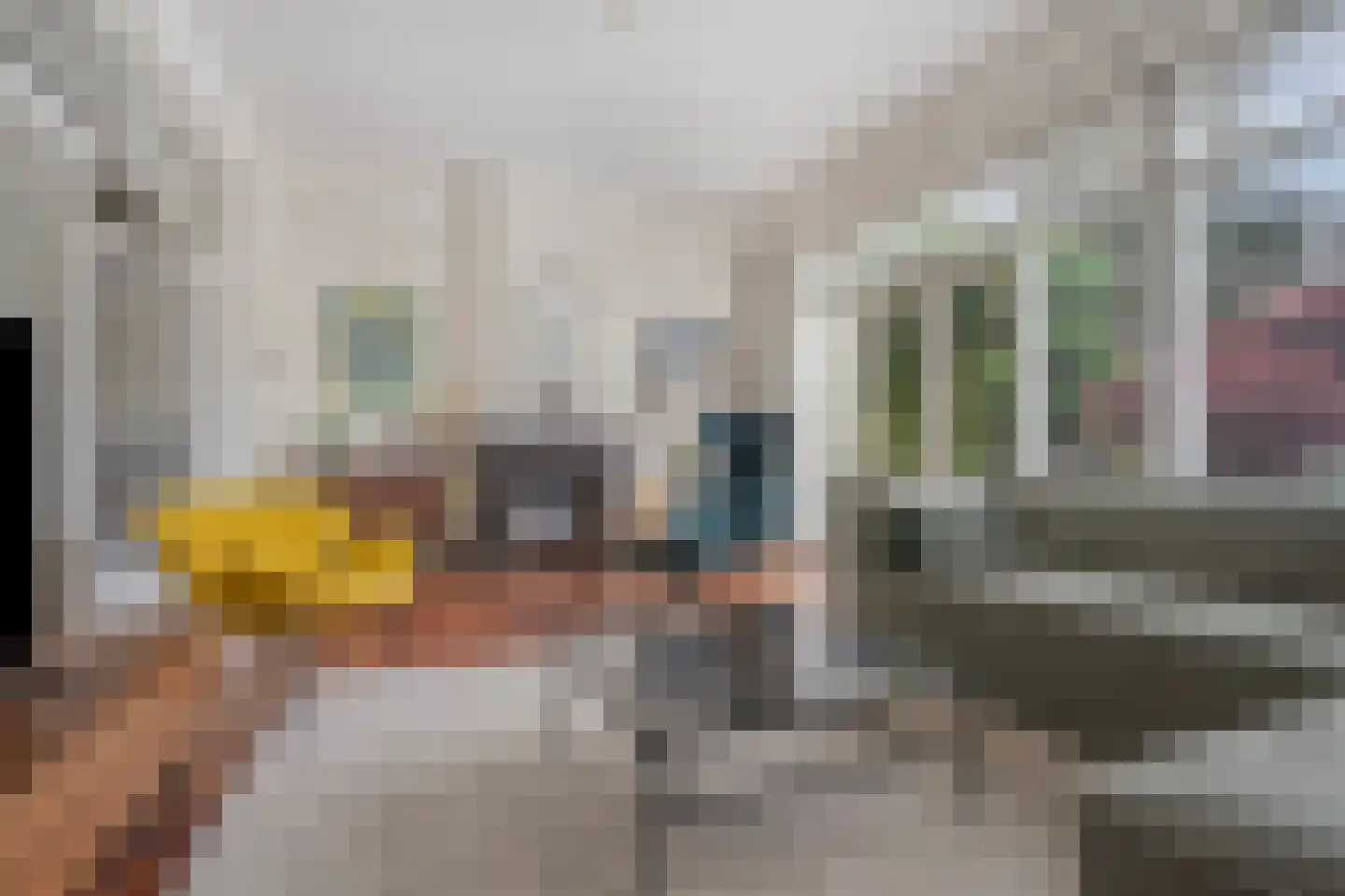 Laan van Oostenburg 25 Voorburg thumbnail 14