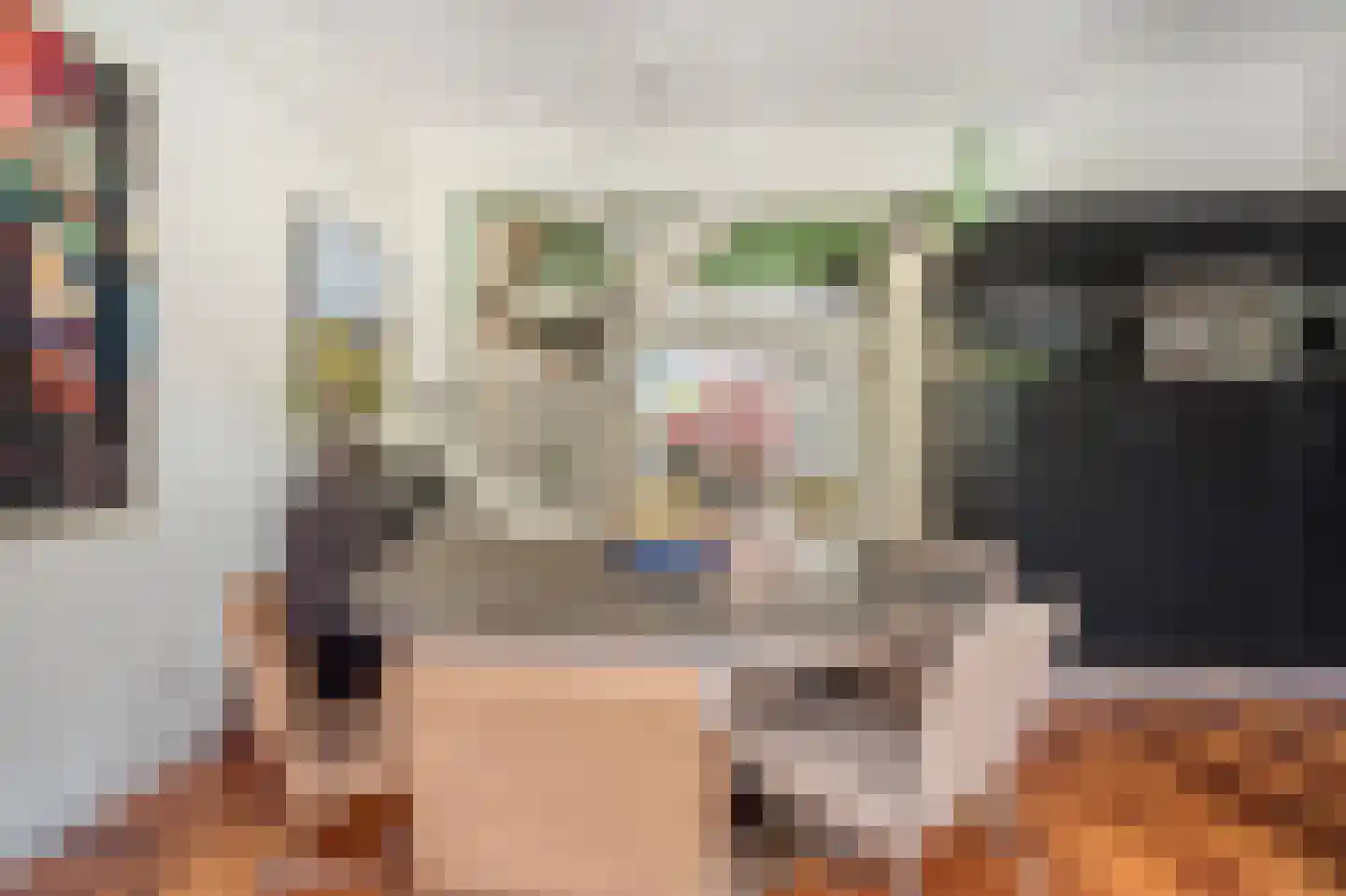 Laan van Oostenburg 25 Voorburg thumbnail 14