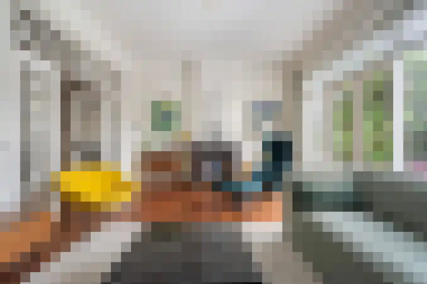 Laan van Oostenburg 25 Voorburg thumbnail 16