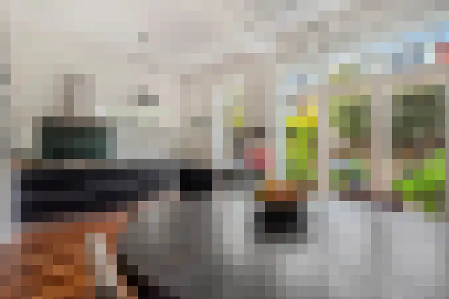 Laan van Oostenburg 25 Voorburg thumbnail 18