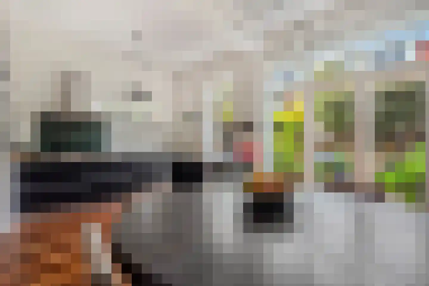 Laan van Oostenburg 25 Voorburg thumbnail 20