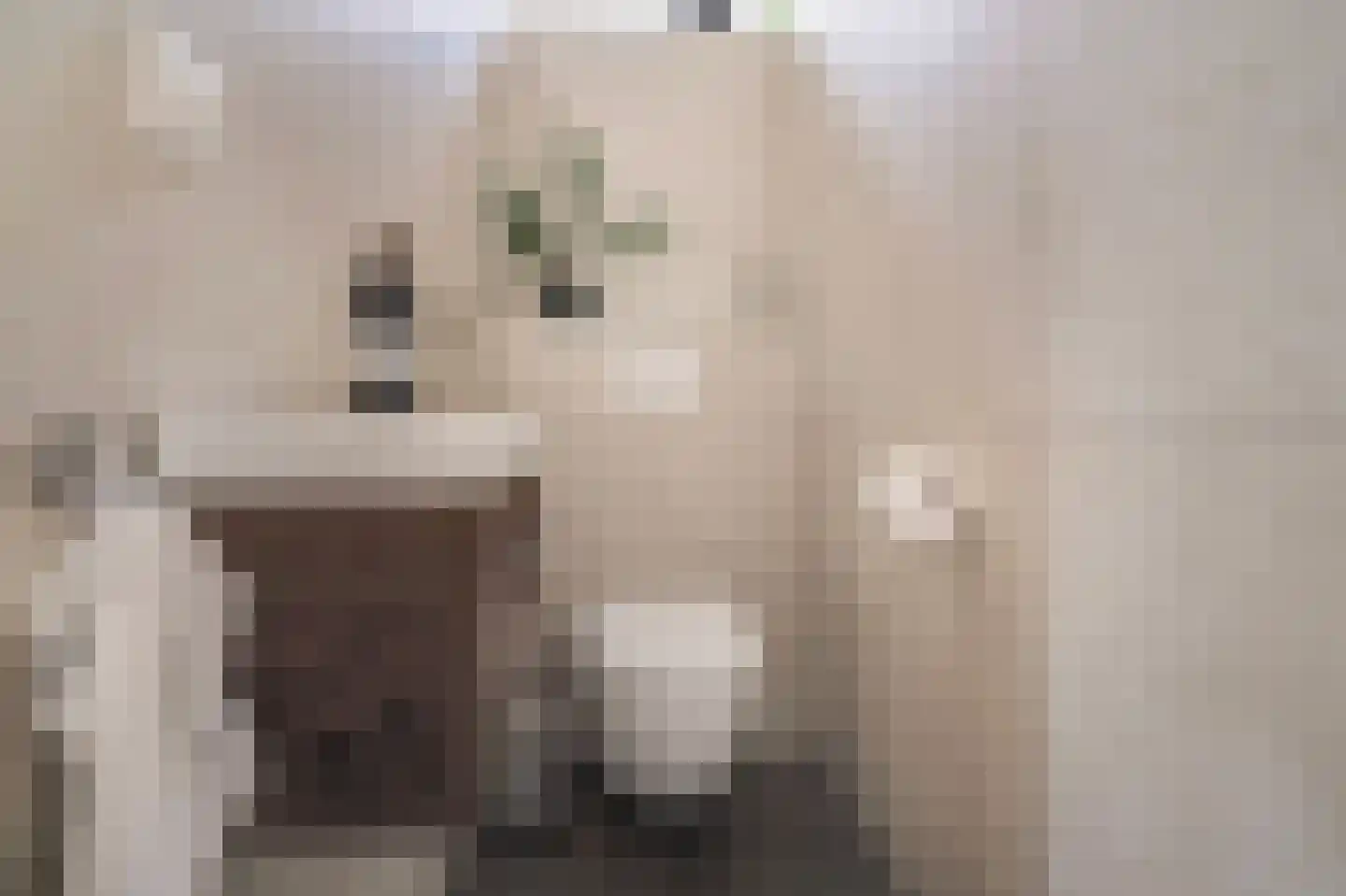 Laan van Oostenburg 25 Voorburg thumbnail 38