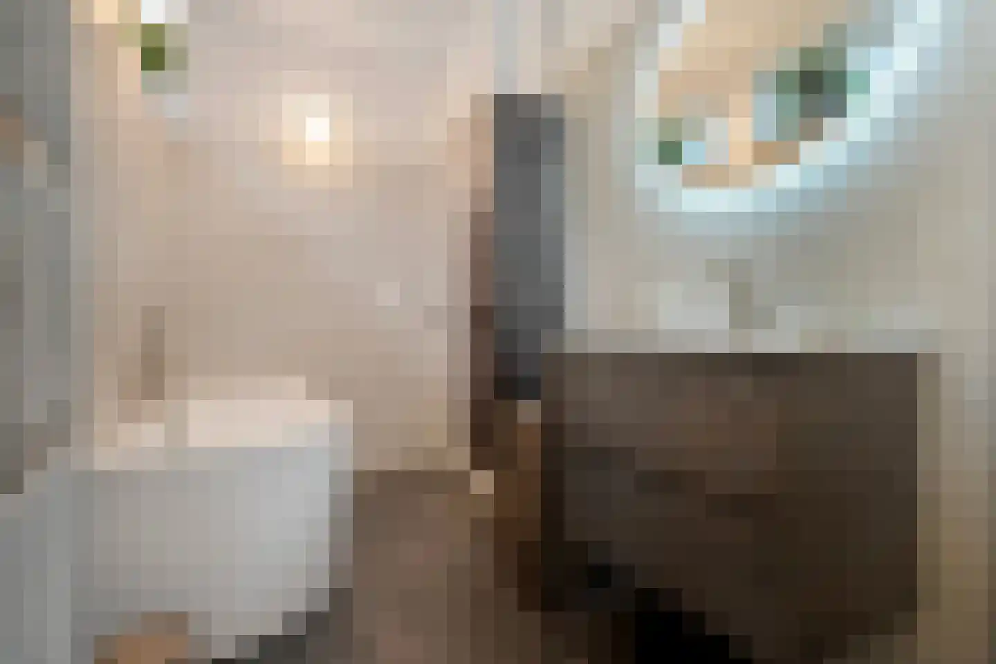 Laan van Oostenburg 25 Voorburg thumbnail 4