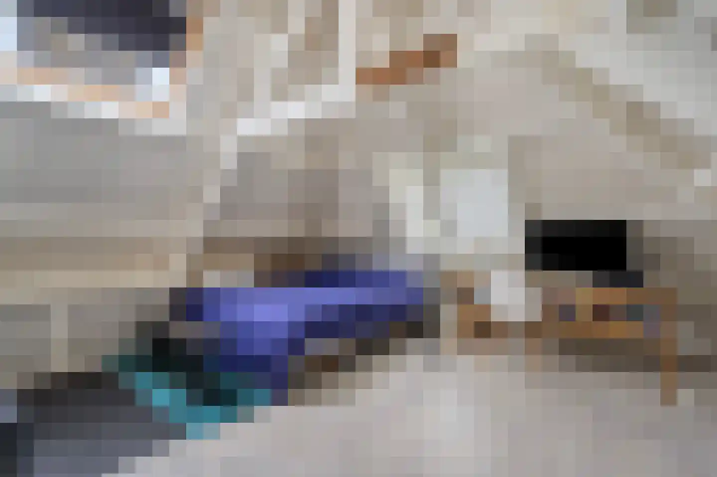 Laan van Oostenburg 25 Voorburg thumbnail 41