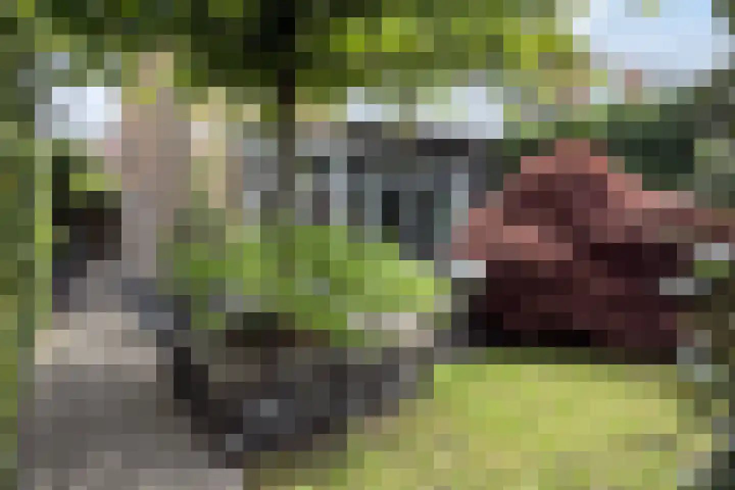 Laan van Oostenburg 25 Voorburg thumbnail 51