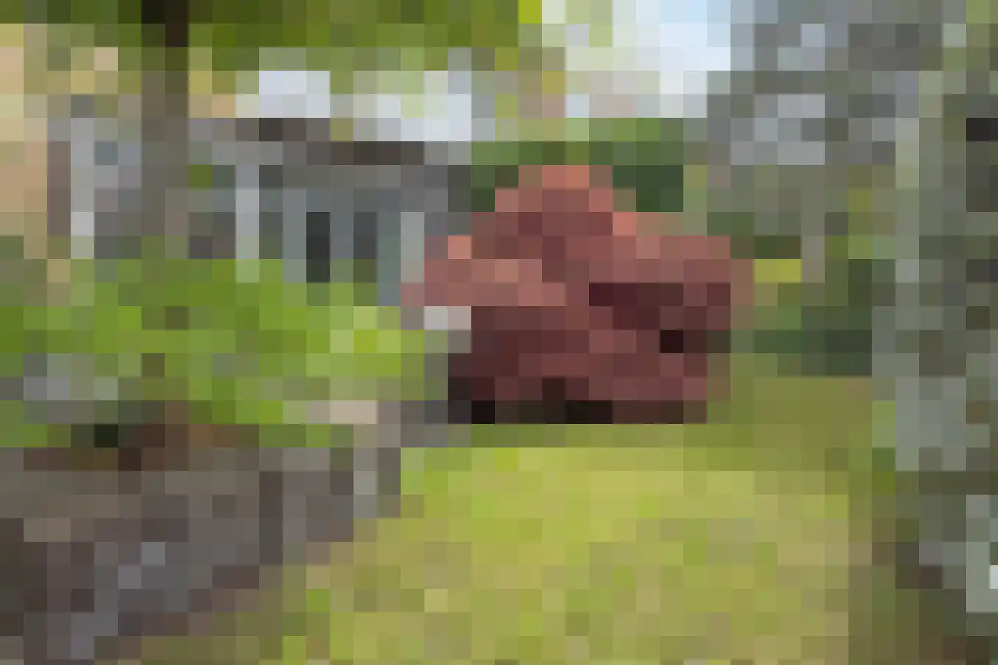 Laan van Oostenburg 25 Voorburg thumbnail 51