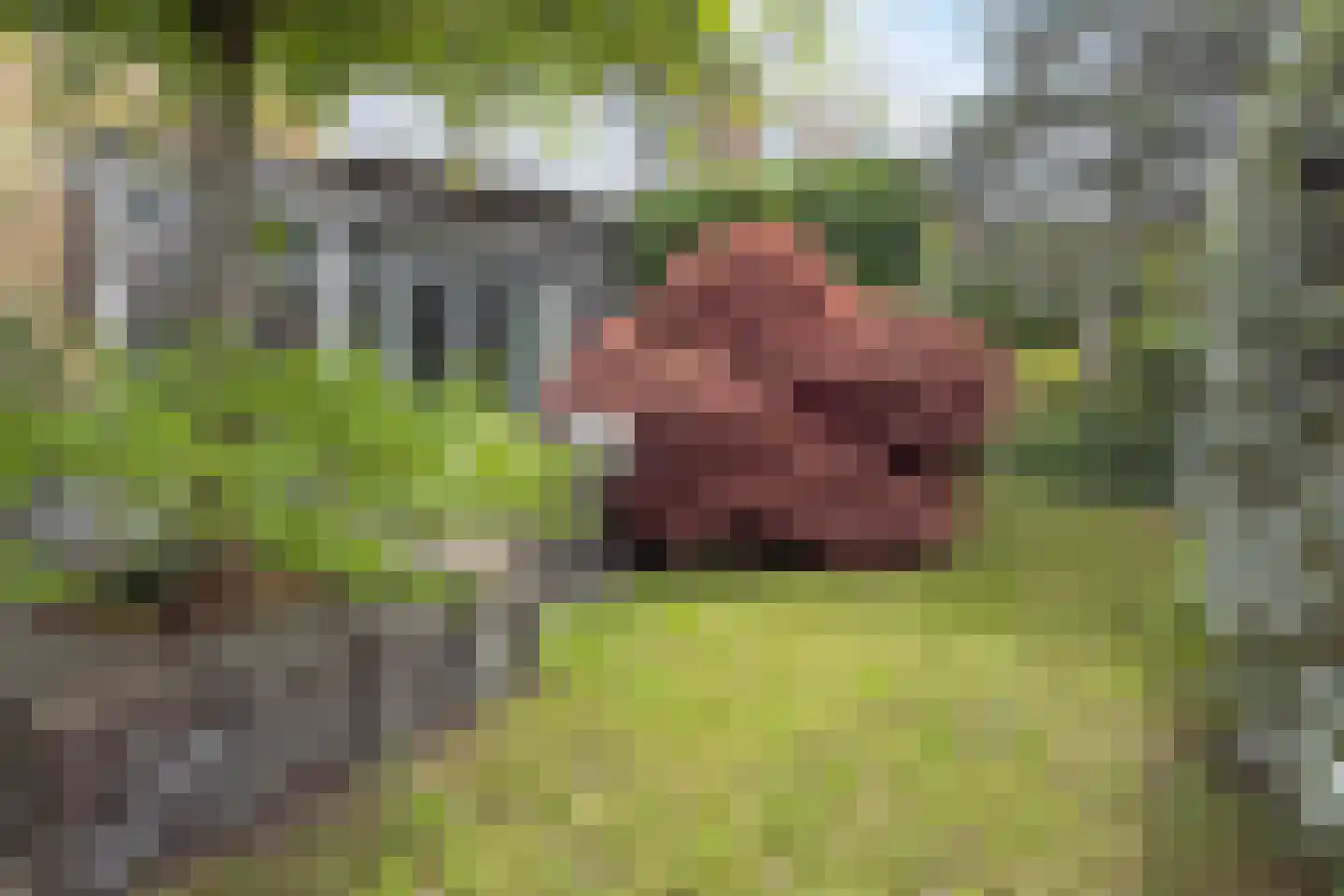 Laan van Oostenburg 25 Voorburg thumbnail 52
