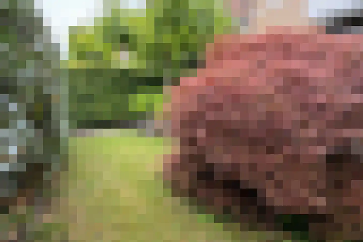 Laan van Oostenburg 25 Voorburg thumbnail 53