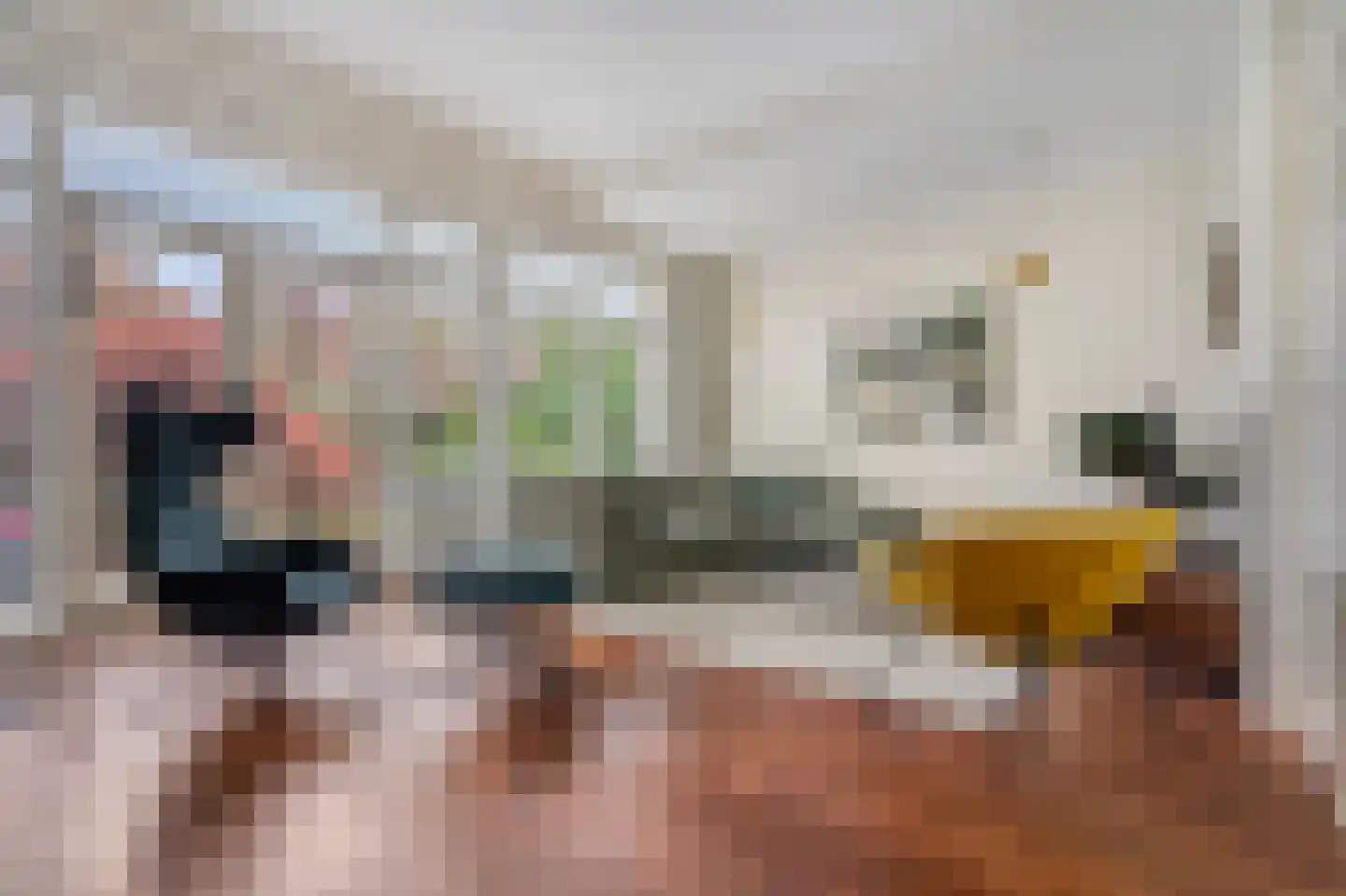 Laan van Oostenburg 25 Voorburg thumbnail 6