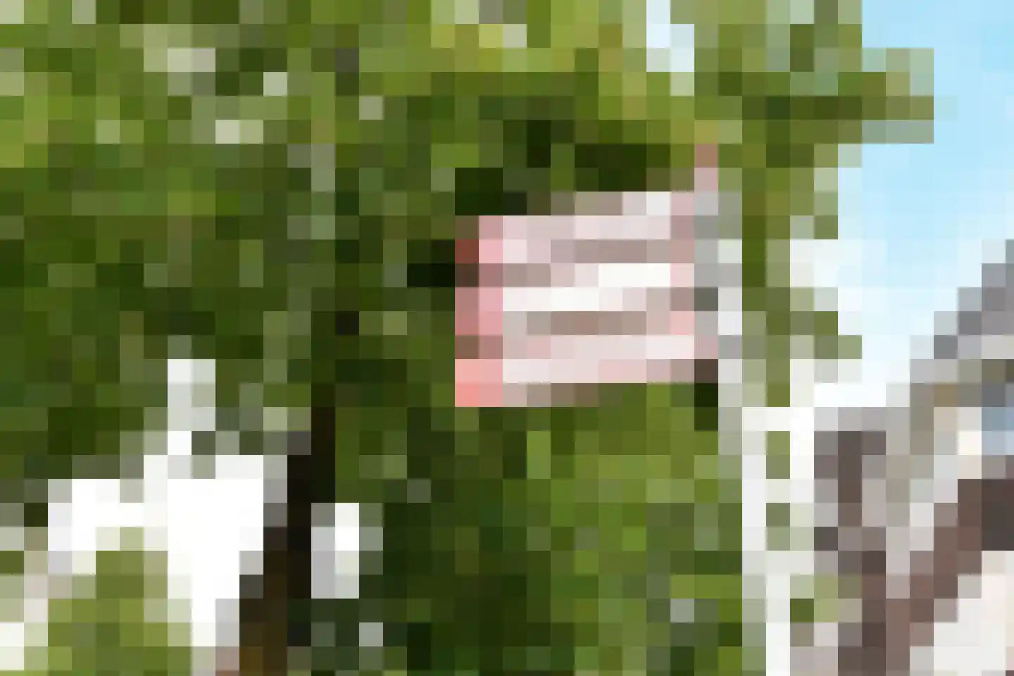 Laan van Oostenburg 25 Voorburg thumbnail 60