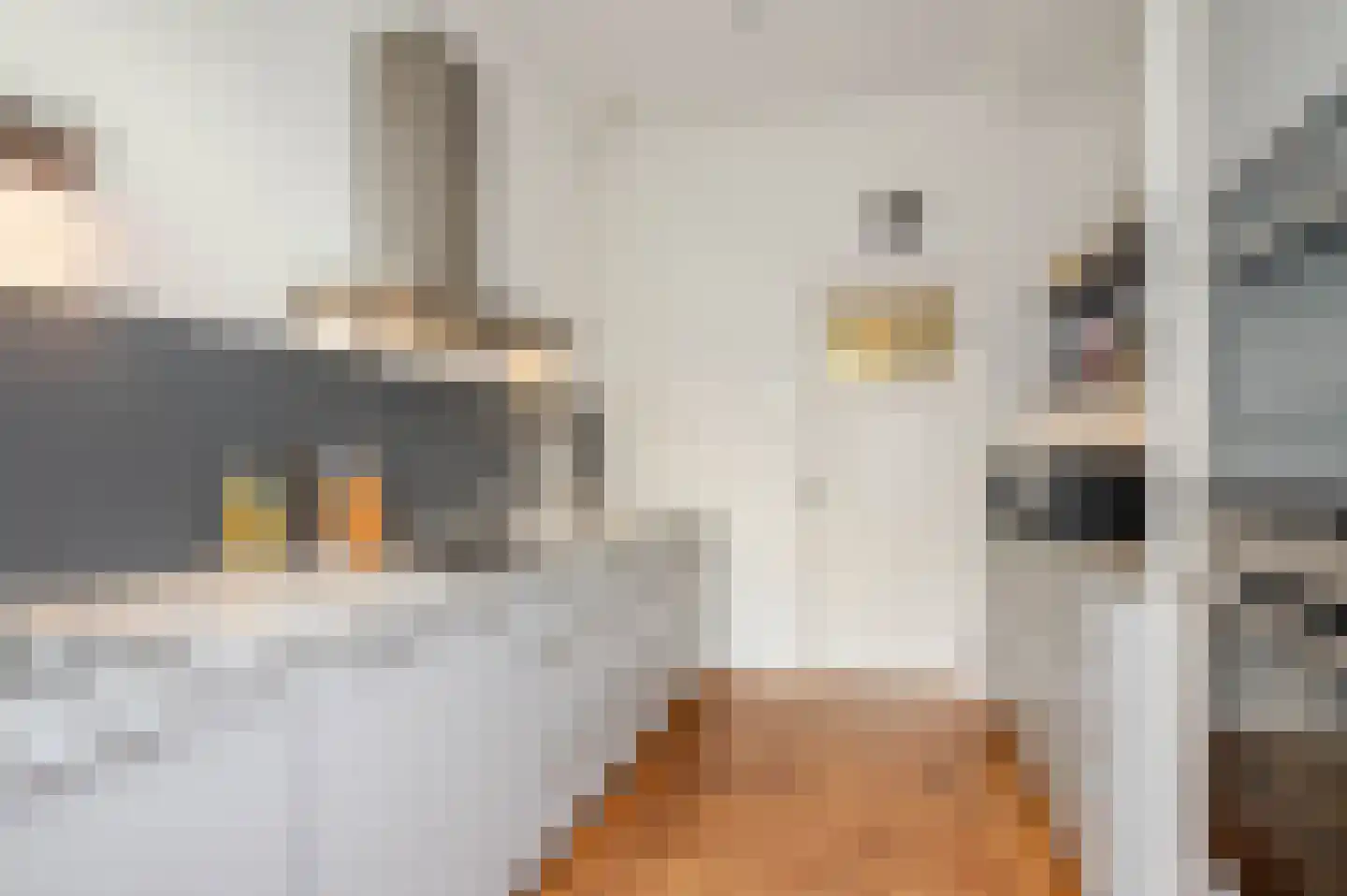 Laan van Oostenburg 35 Voorburg thumbnail 17