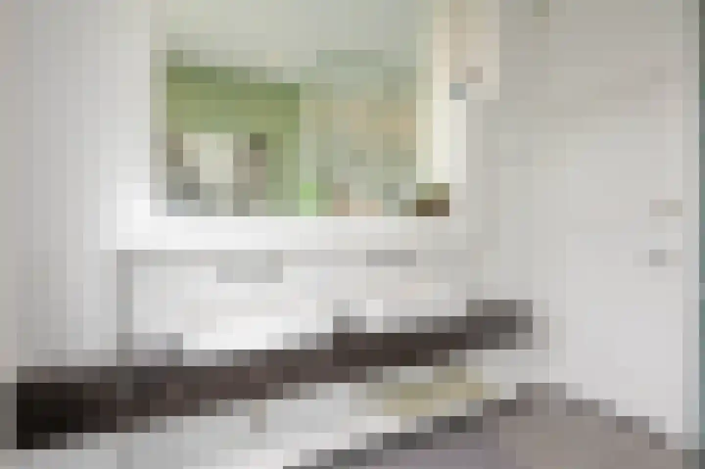 Laan van Oostenburg 35 Voorburg thumbnail 30