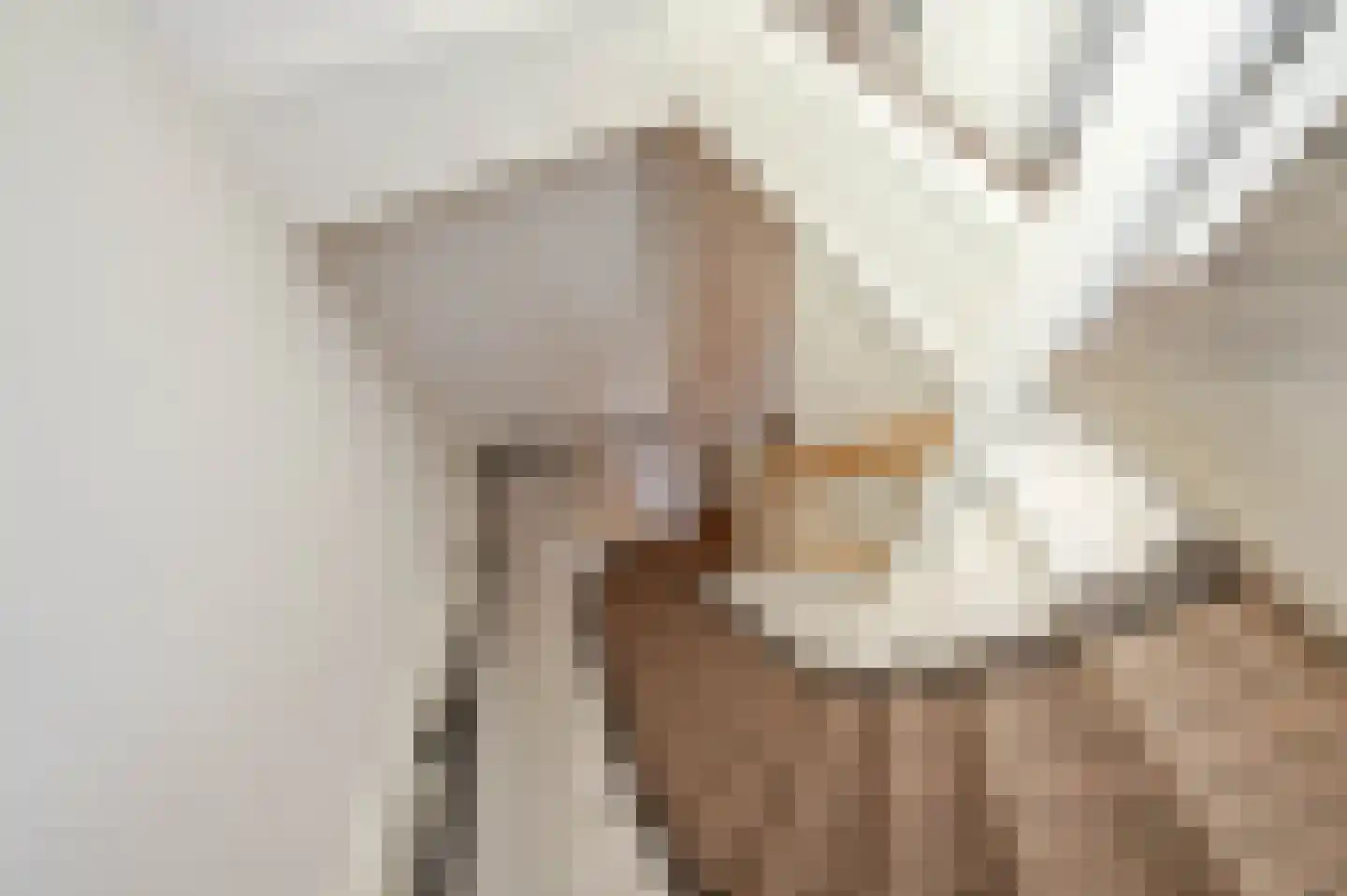 Laan van Oostenburg 35 Voorburg thumbnail 33