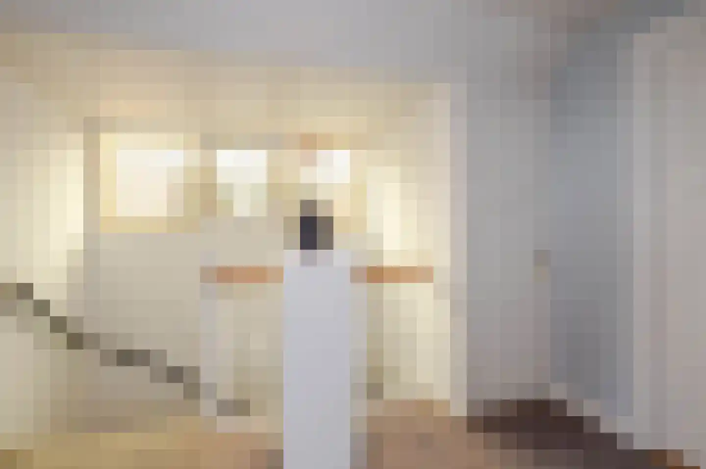 Laan van Oostenburg 35 Voorburg thumbnail 34