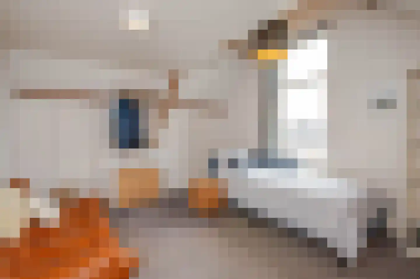 Laan van Oostenburg 35 Voorburg thumbnail 35