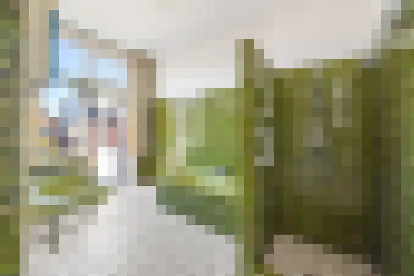 Laan van Oostenburg 40 Voorburg thumbnail 23