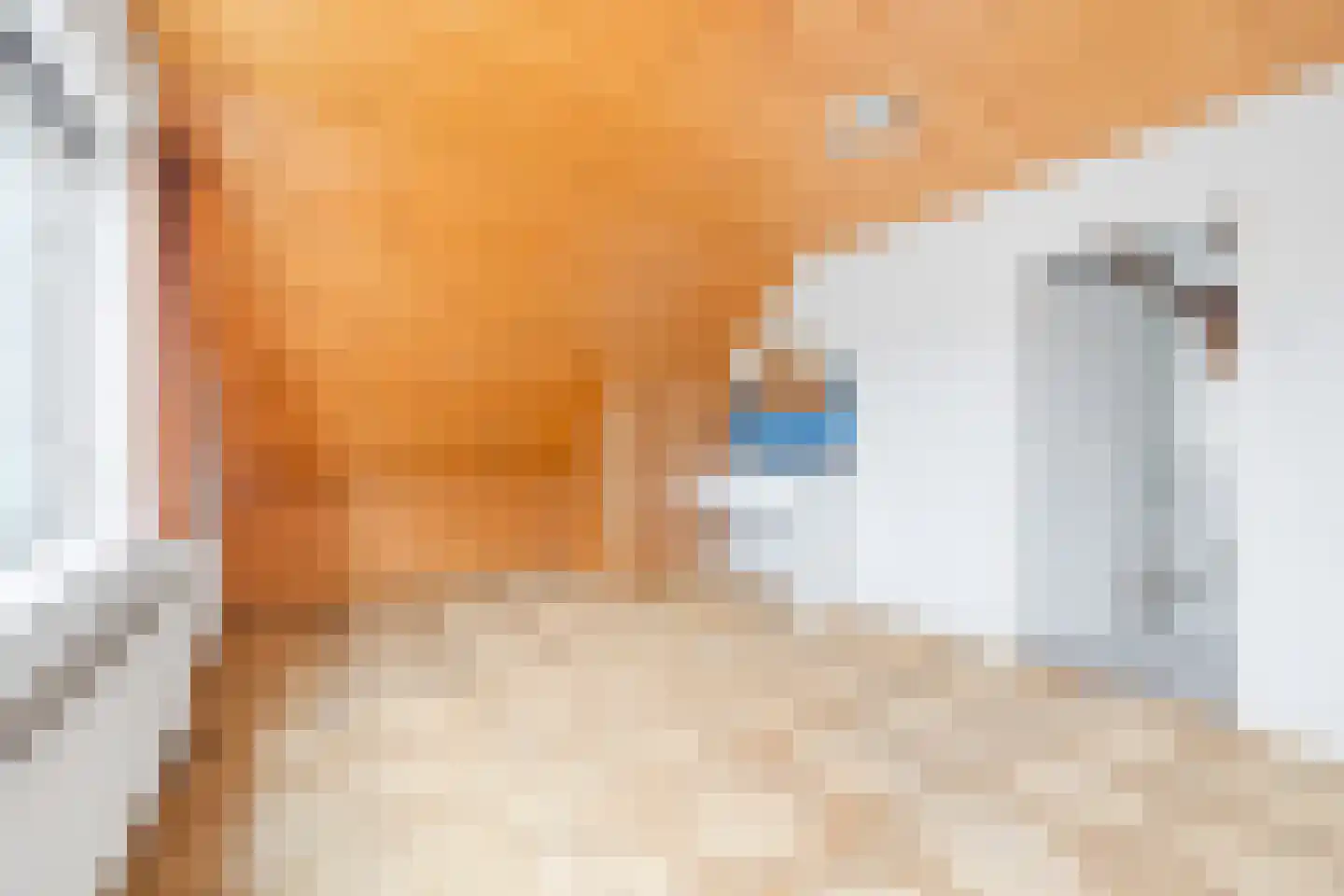 Laan van Oostenburg 40 Voorburg thumbnail 35