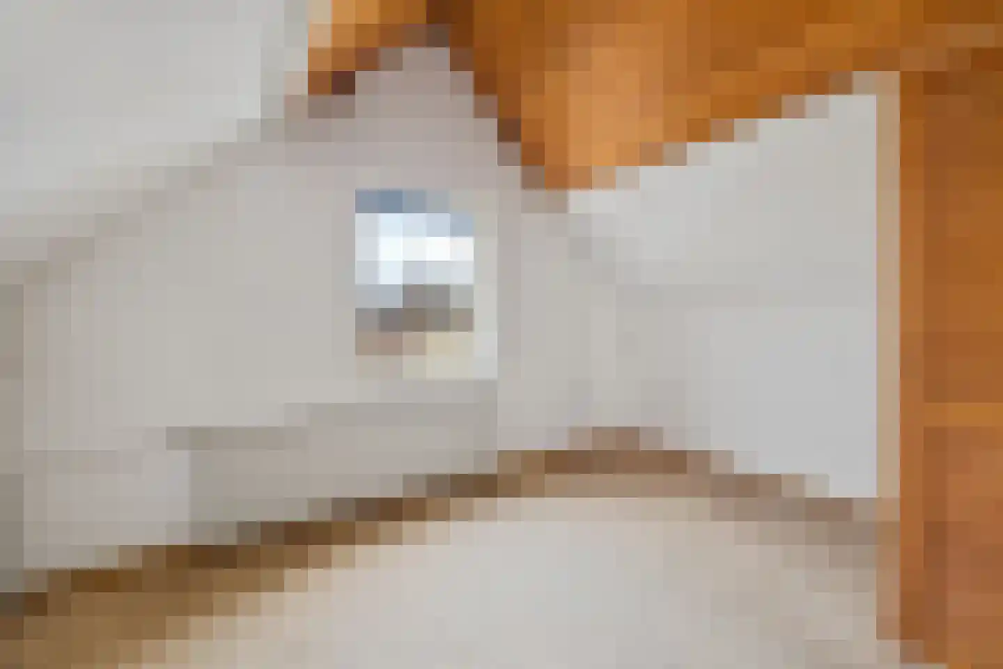 Laan van Oostenburg 40 Voorburg thumbnail 39