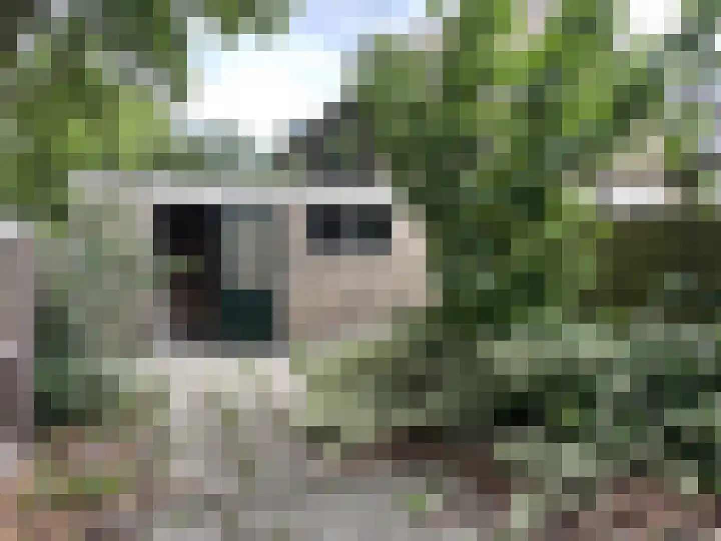 Laan van Osnabrück 17 Haarlem thumbnail 14