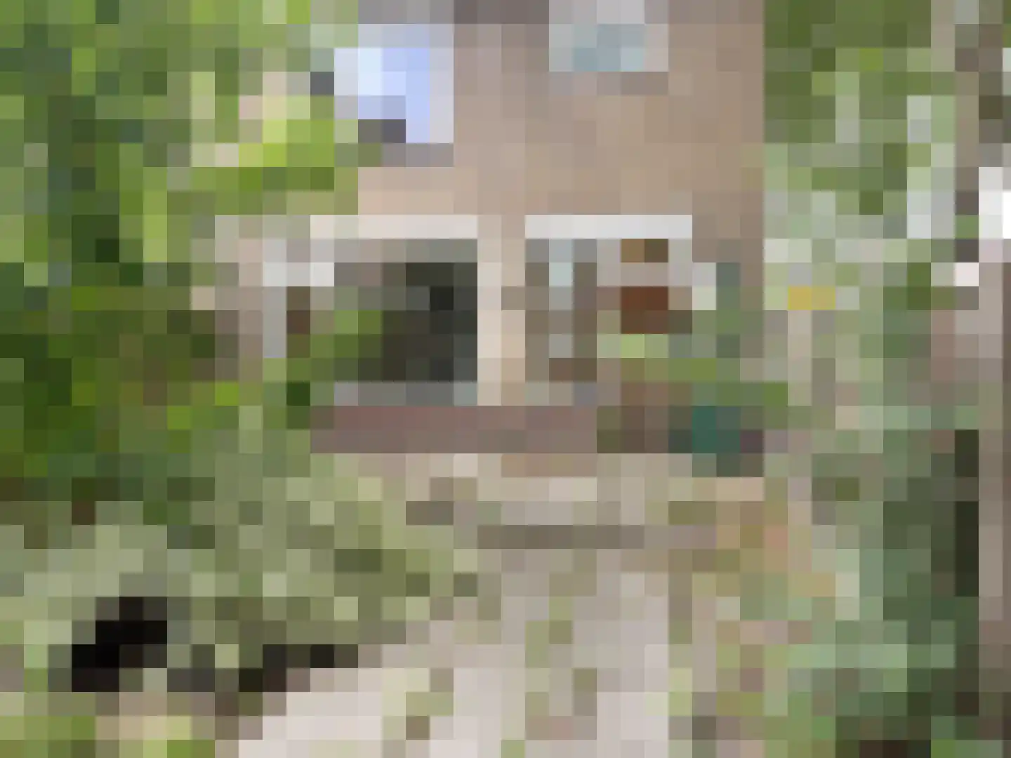 Laan van Osnabrück 17 Haarlem thumbnail 17