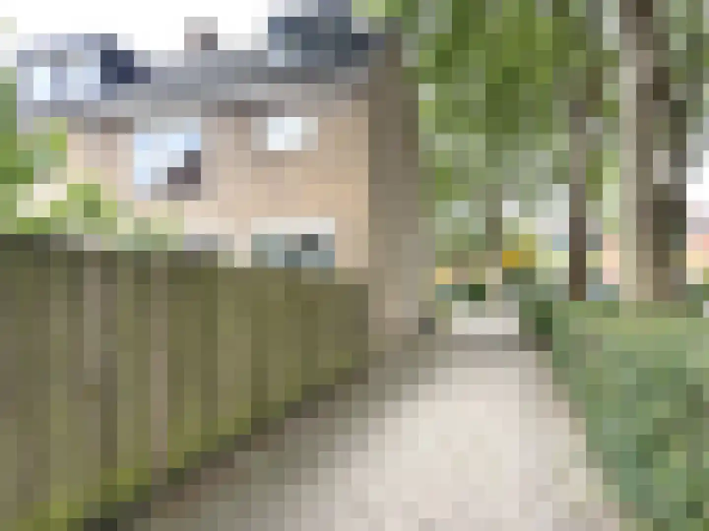 Laan van Osnabrück 17 Haarlem thumbnail 32