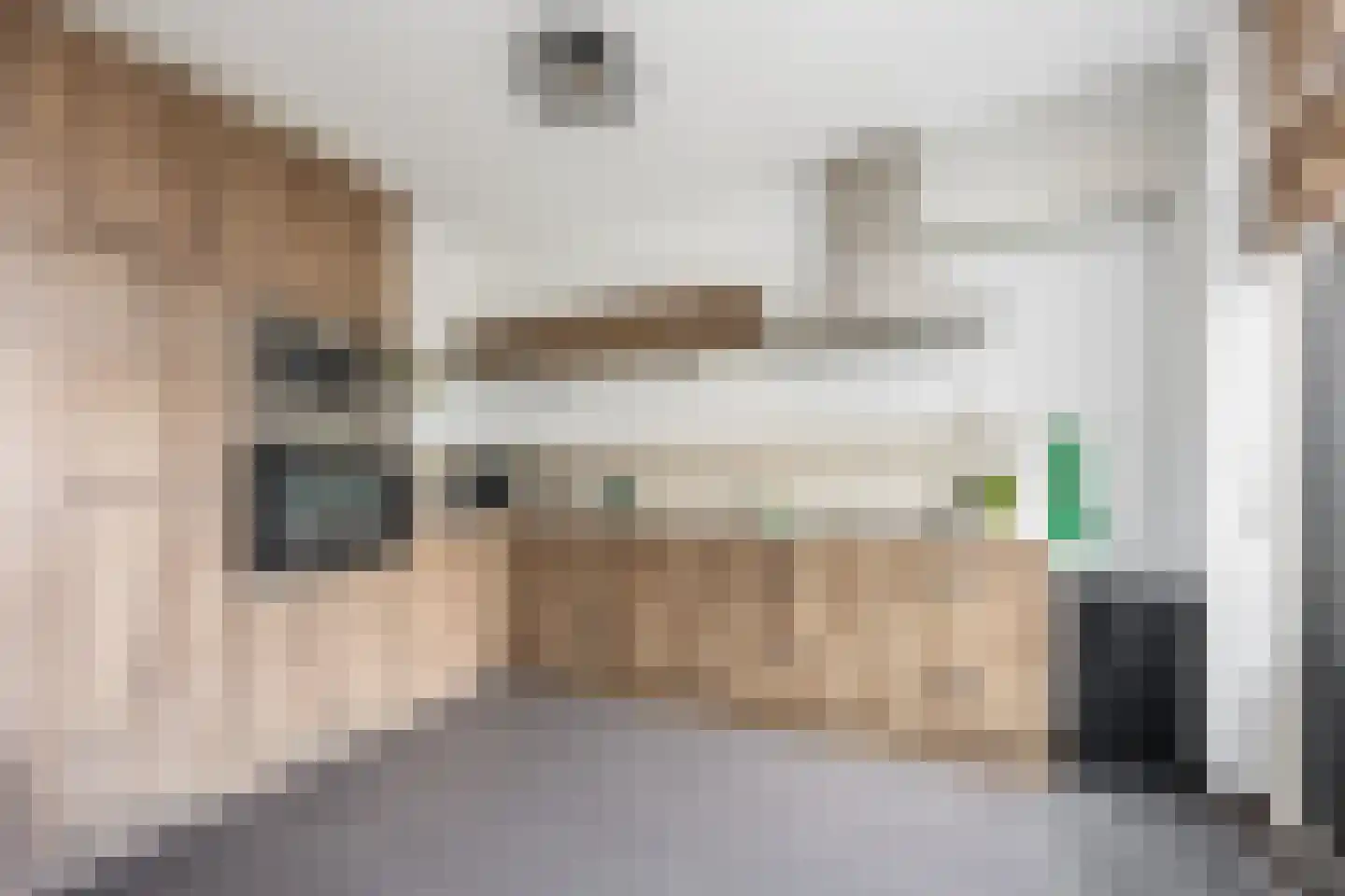 Laan van Osnabrück 59 Haarlem thumbnail 10