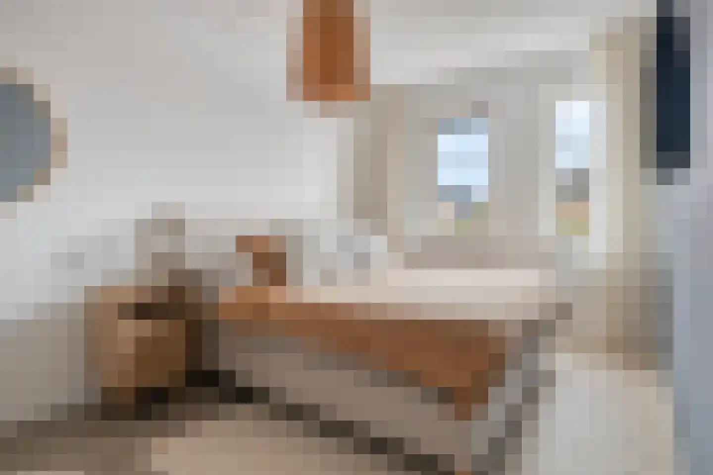 Laan van Othene 102 Terneuzen thumbnail 12