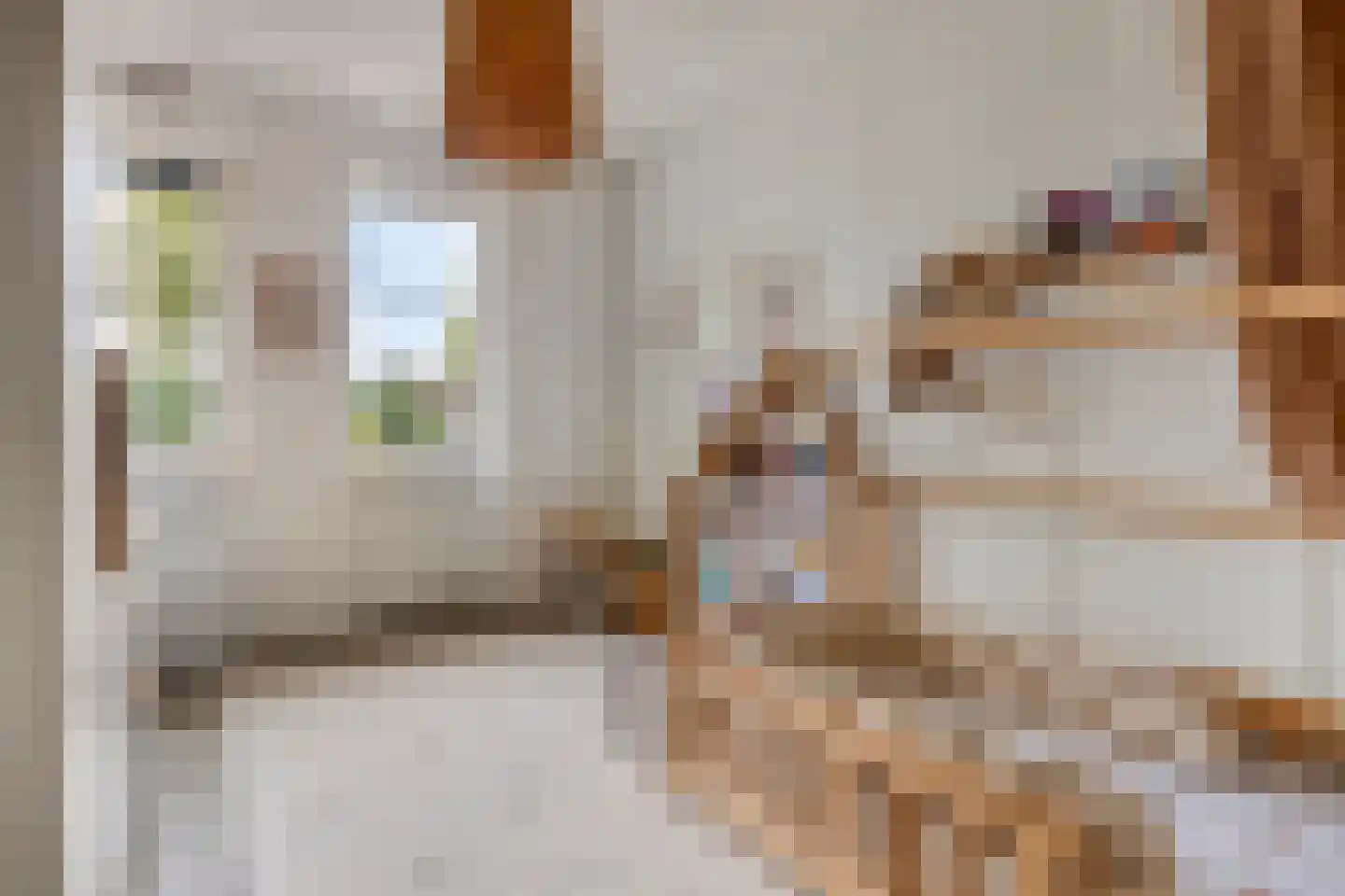 Laan van Othene 102 Terneuzen thumbnail 13
