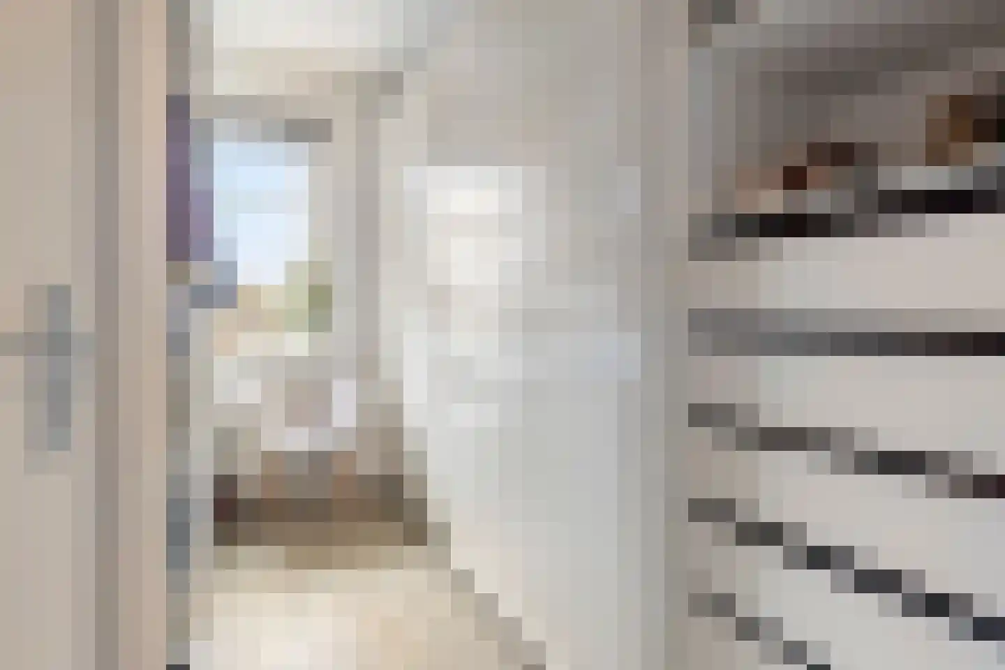 Laan van Othene 102 Terneuzen thumbnail 14