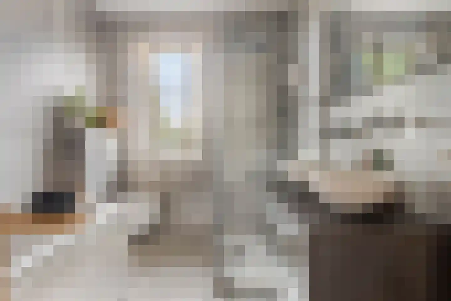 Laan van Othene 102 Terneuzen thumbnail 15