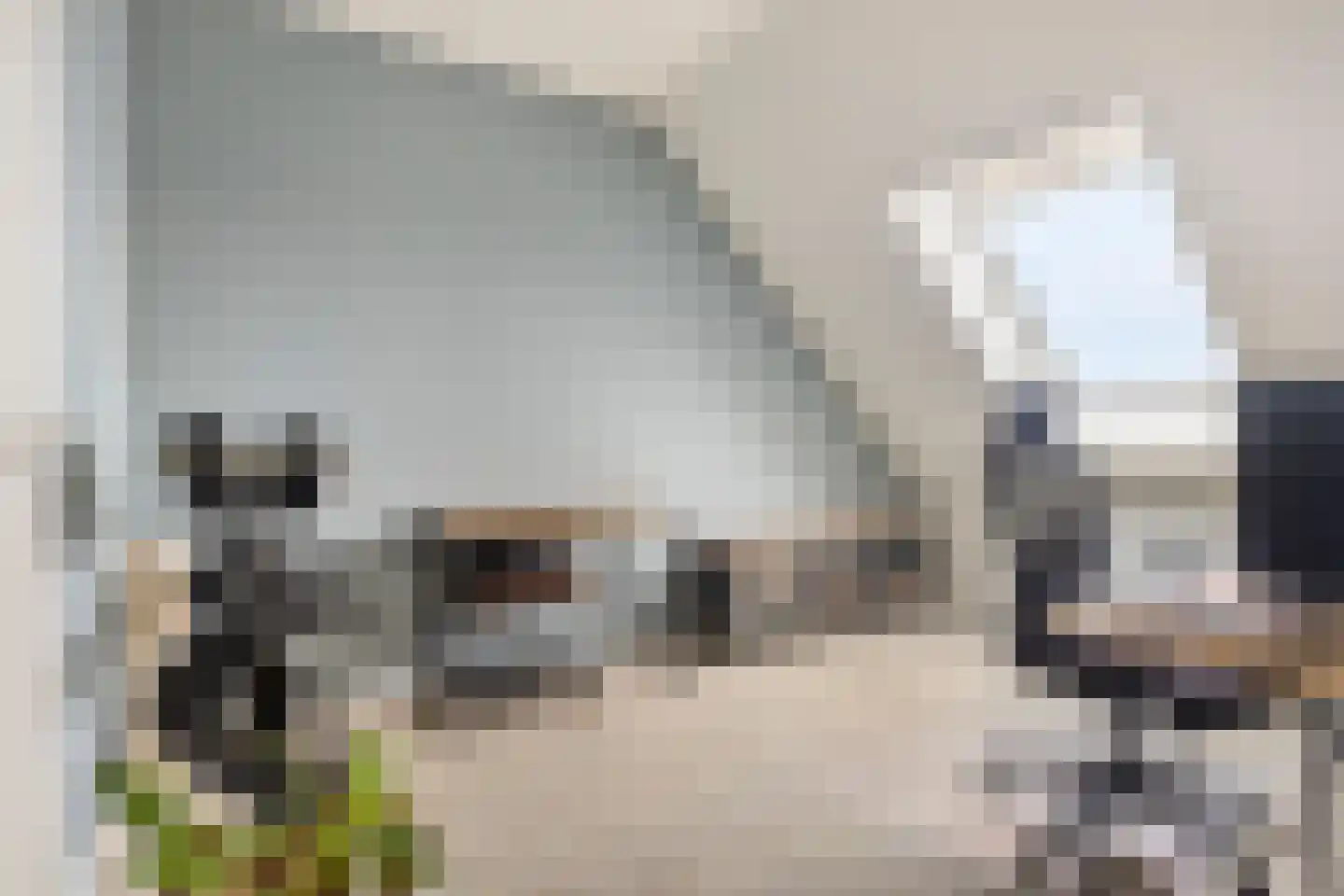 Laan van Othene 102 Terneuzen thumbnail 16