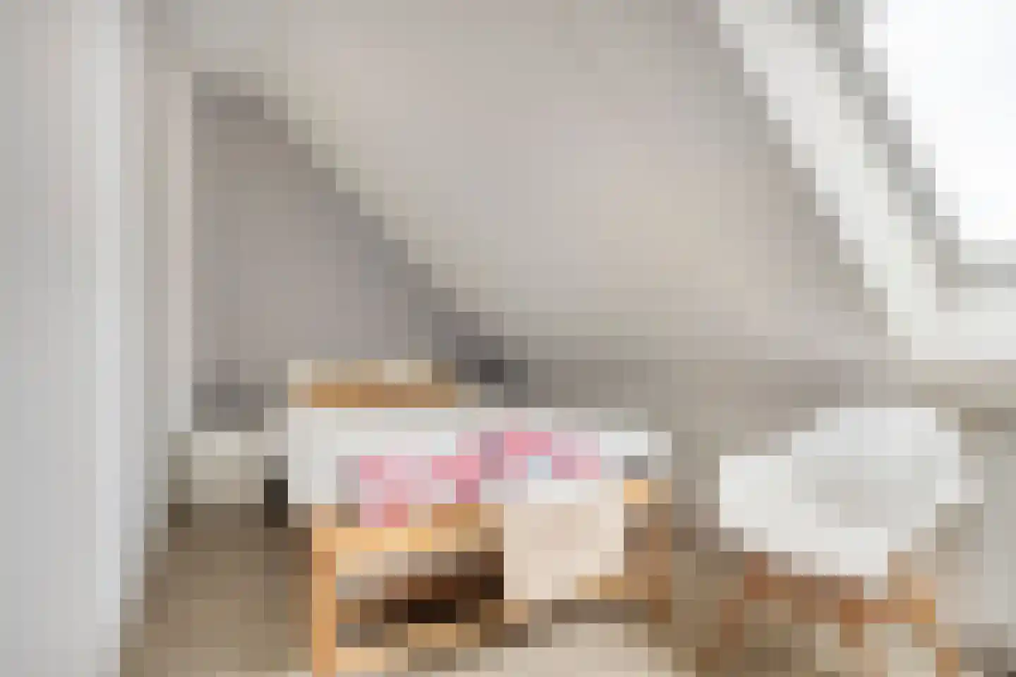 Laan van Othene 102 Terneuzen thumbnail 17