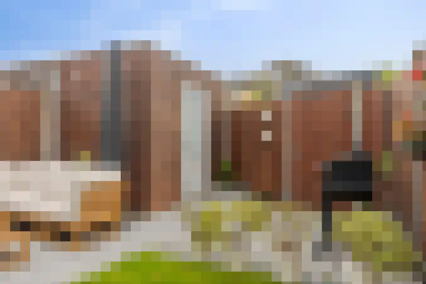 Laan van Othene 102 Terneuzen thumbnail 19