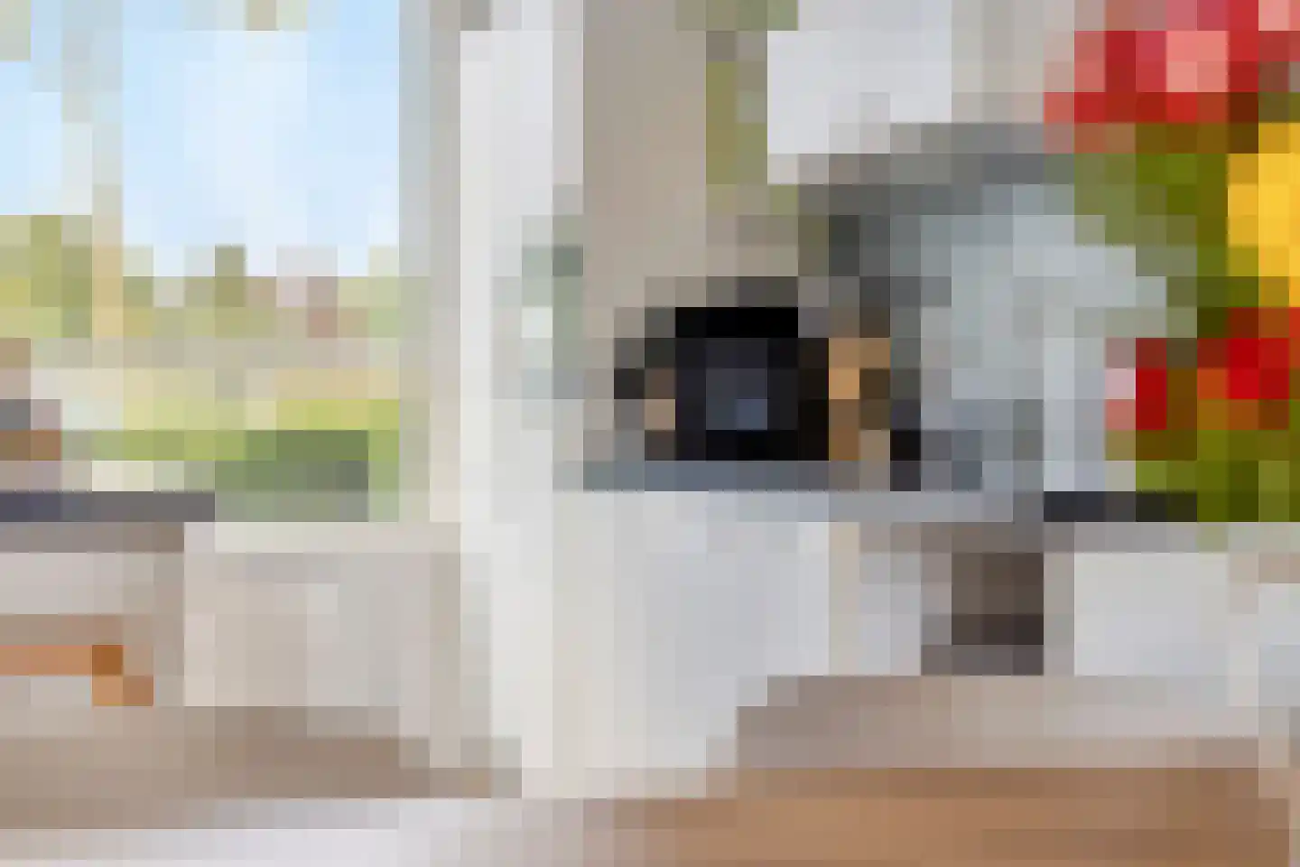 Laan van Othene 102 Terneuzen thumbnail 4