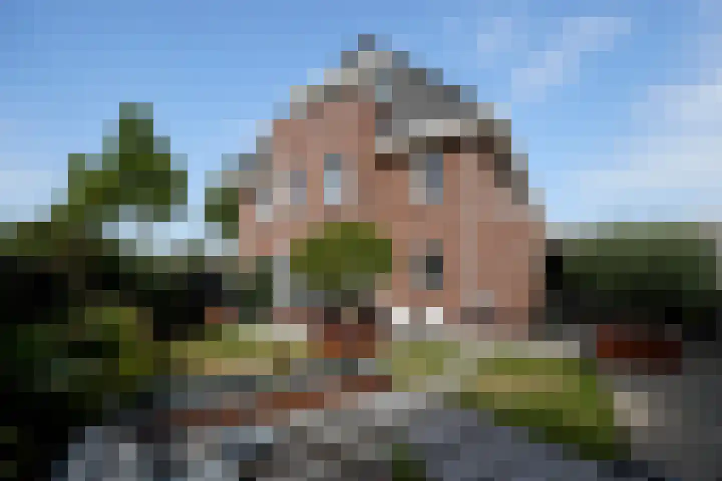 Laan van Othene 106 in Terneuzen