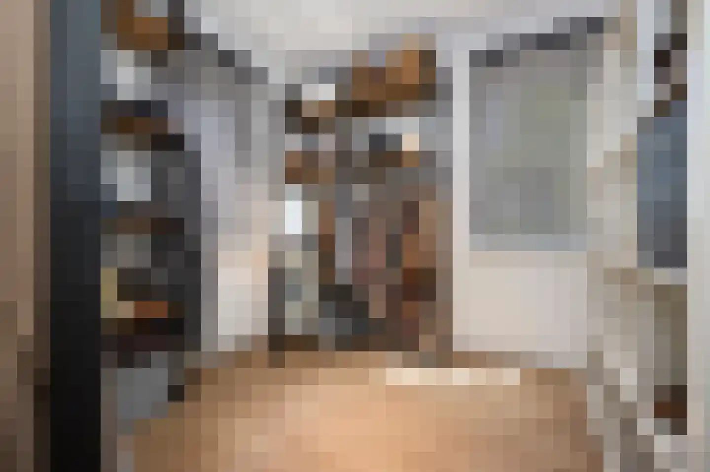 Laan van Othene 106 Terneuzen thumbnail 10