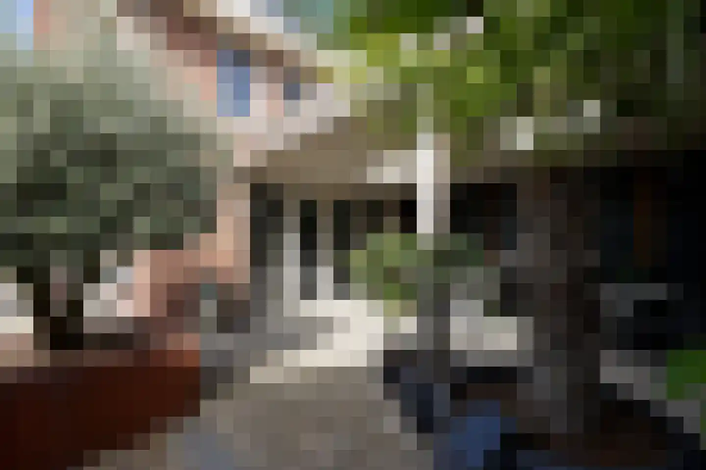 Laan van Othene 106 Terneuzen thumbnail 11