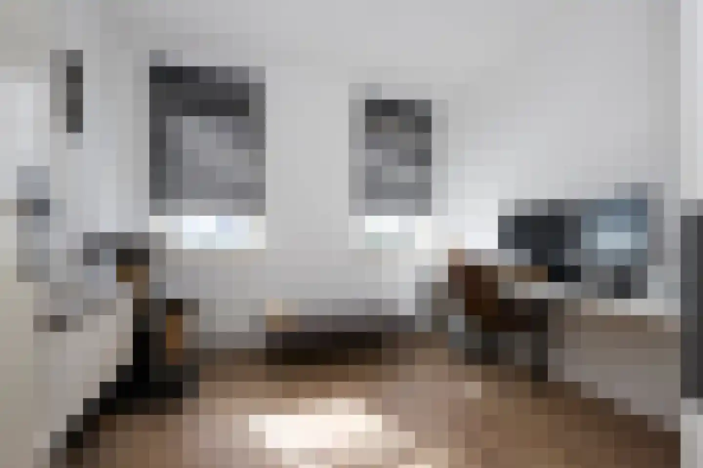 Laan van Othene 106 Terneuzen thumbnail 12